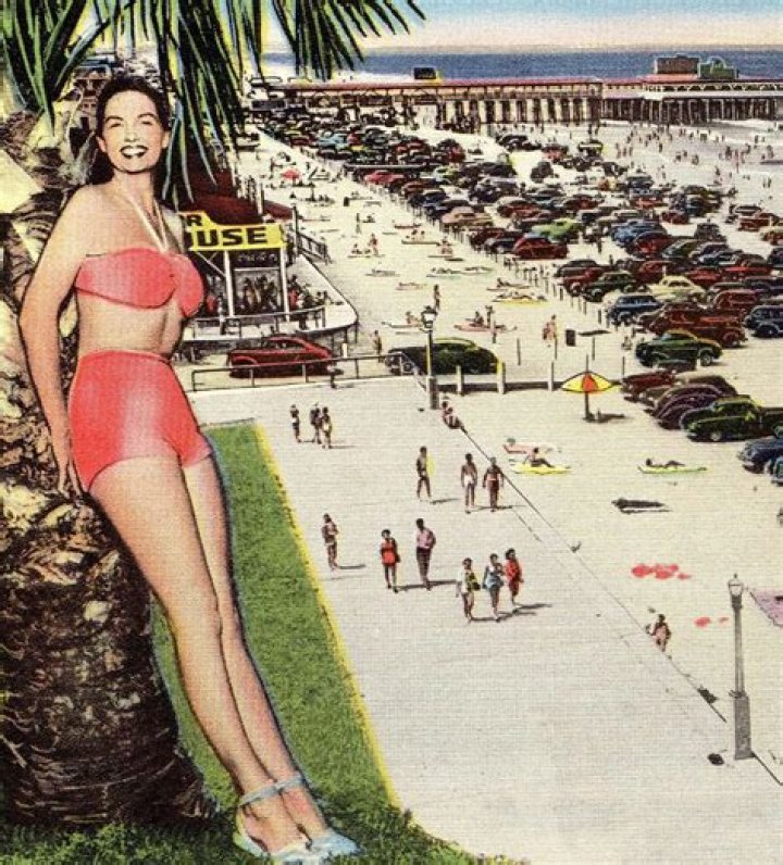 Schelle Holloway-Purcell Net Worth