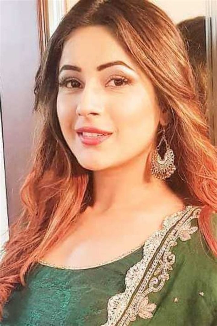 Shehnaaz Gill Biography – Facts, Net Worth, Religion, Height, Age