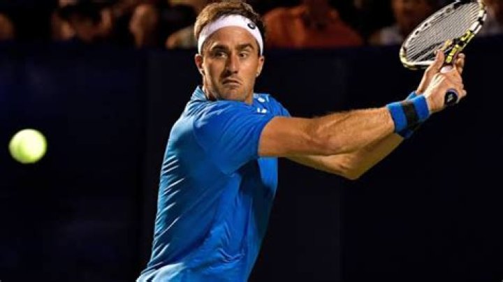 Steve Johnson Net Worth: Details About Tennis, Income, Wife, Age, Career - SarkariResult