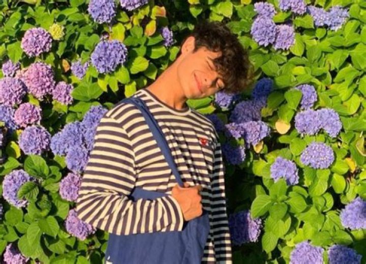 Summer De Almeida Net Worth