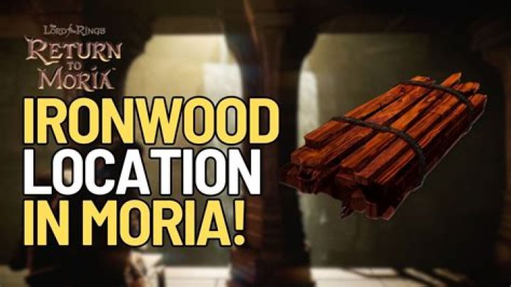 The Lord of the Rings: Where to get Ironwood in Lord of the Rings Return to Moria? - SarkariResult