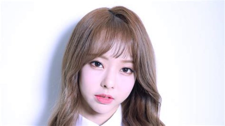 ViVi (Loona Band Singer) Profile, Age, Height, Weight, Wiki, Measurements, Boyfriend, Bio, Net Worth, Profile, Facts
