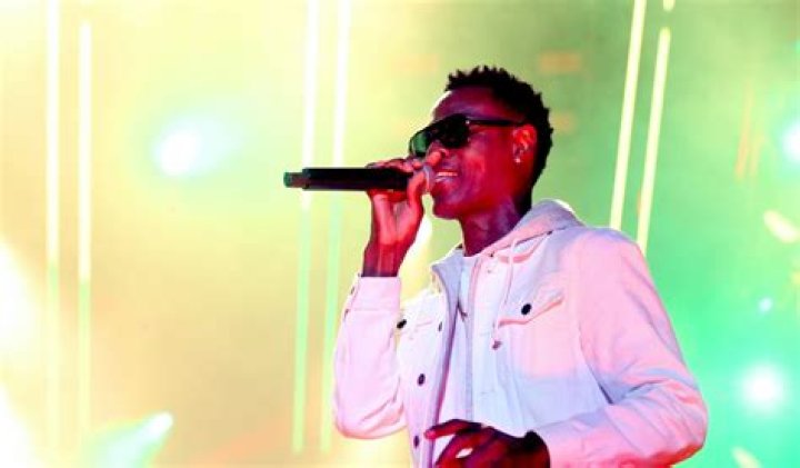 Wayne Wonder Net Worth