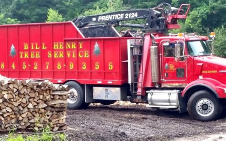 What Happened To Bill Henry? Tree Service Inc. Owner Accident Death Update