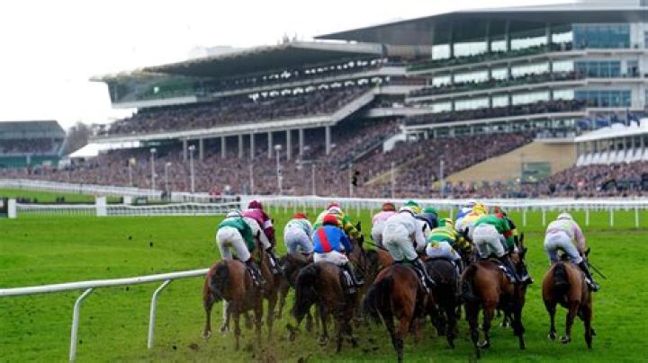 
What Happened To Ginto Horse? Cheltenham Death As Fans Are Mourning 