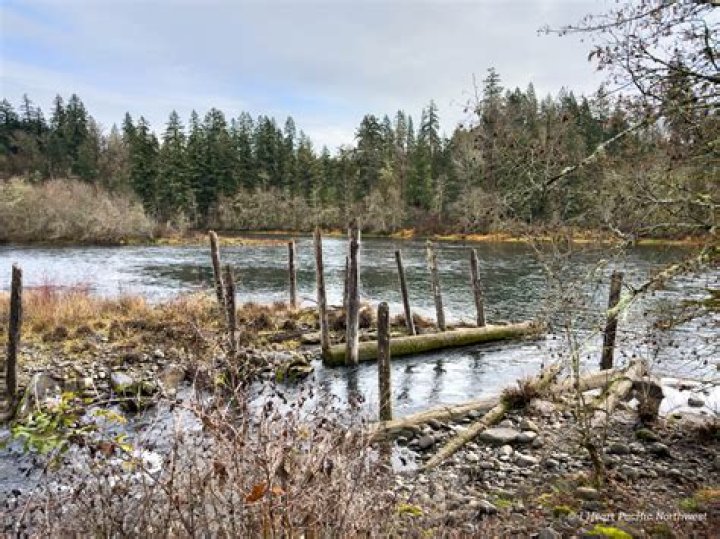 What Happened To Milo McIver State Park? Milo McIver State Park Evacuates Level 3 Due To Brush Fires
