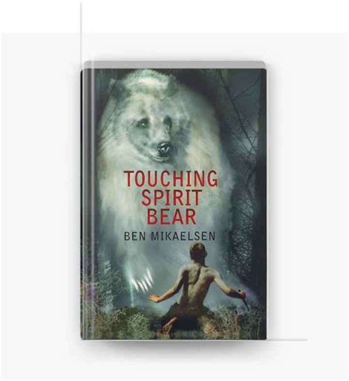 What is the moral of touching spirit bear
