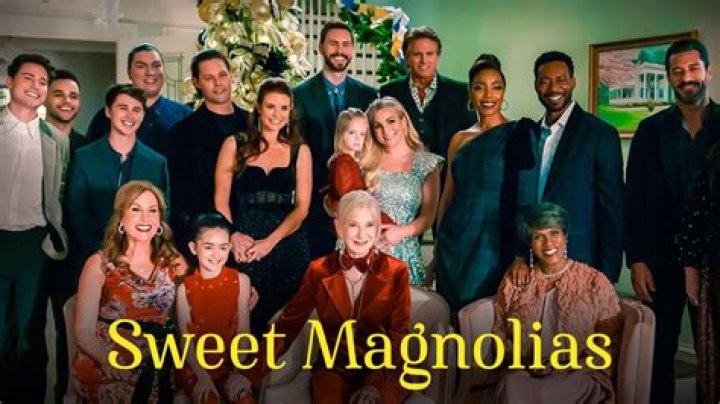 Where Is Cindy Karr From? Personal Details To Know About The Cast From Sweet Magnolias