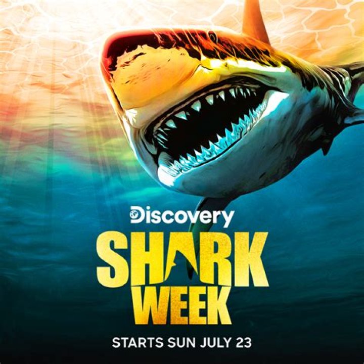 Where Is Dickie Chivell From Shark Week From? Background Story And More