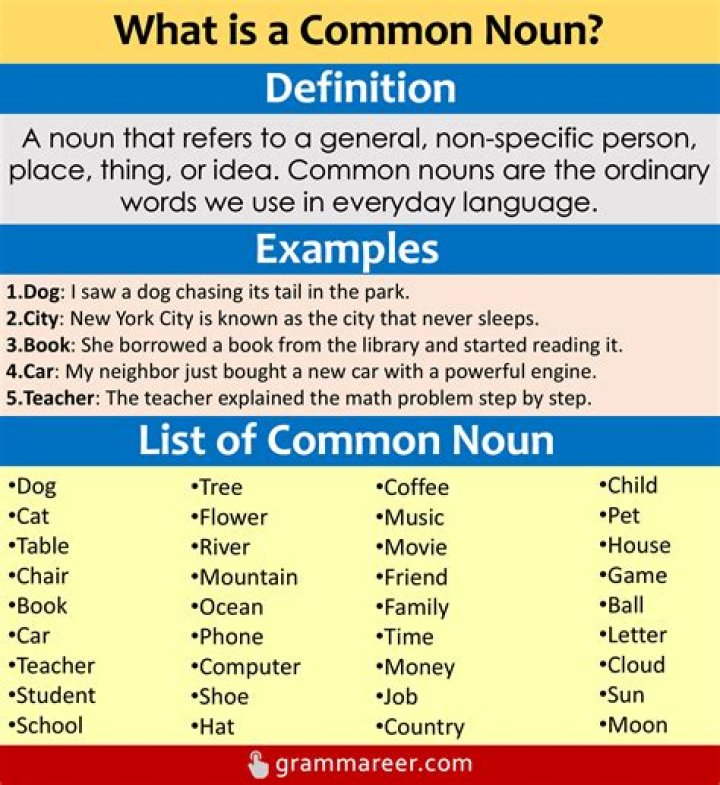 
Which is the noun for explain? 