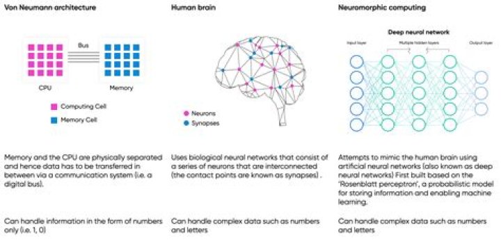 Who Is Adam Newmann Model Sister Adi Neumann? Here Is What We Know The Business Family
