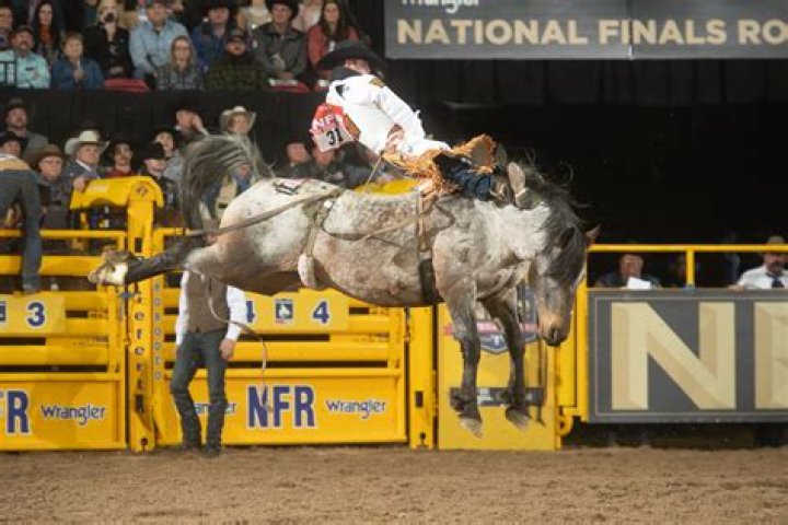 Who Is Kaycee Feild Wife? Know About The Relationship Status Of The Rodeo