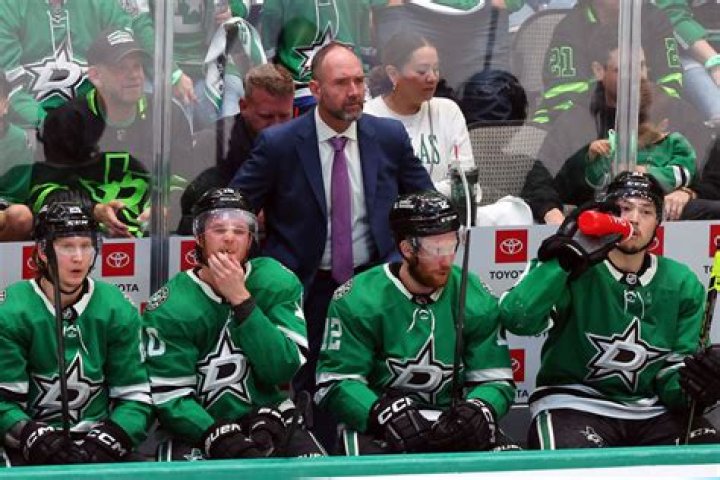 
Who Is Natalie Gaudreau? Meet The Woman Watching Hockey Behind Dallas Stars Bench 