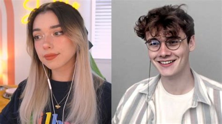 Wilbur Soot Controversy, Ex-Girlfriend Abuse Allegations - SarkariResult