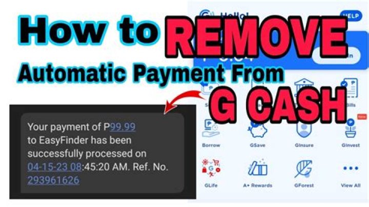 Will Gcash Close in 2024? What Led to Gcash's Removal from the Google Play Store? - SarkariResult